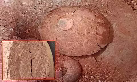 ஆதிச்சநல்லூர் அகழாய்வு பணி: முதுமக்கள்தாழி மூடியில் பனை ஓலை அச்சு கண்டுபிடிப்பு