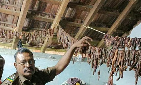 காட்டெருமையை வேட்டையாடி வீட்டில் பதுக்கிய வாலிபர்கள் - வனத்துறை அதிகாரிகள் அதிர்ச்சி...!