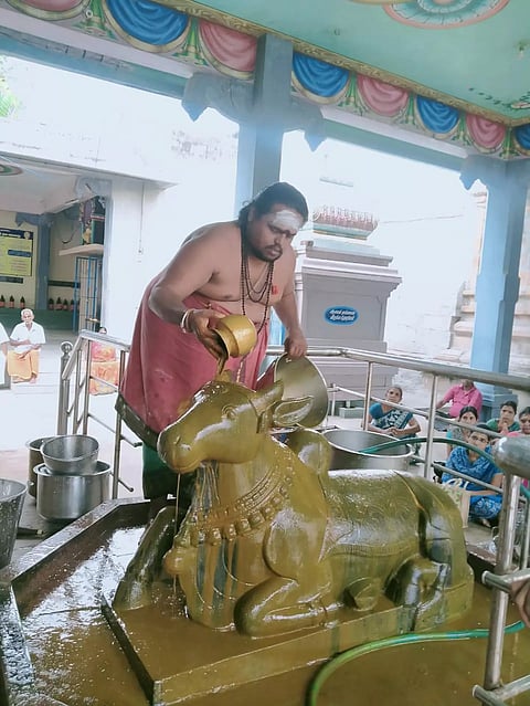 பிரதோஷத்தையொட்டி மோகனூர் அசலதீபேஸ்வரர் கோவிலில் சிறப்பு அபிஷேகம்