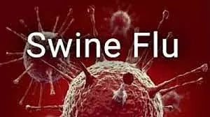 பேராசிரியர் சாய்பாபாவுடன் சிறையில் அடைக்கப்பட்டுள்ள ஆயுள் தண்டனை கைதிக்கு பன்றி காய்ச்சல்