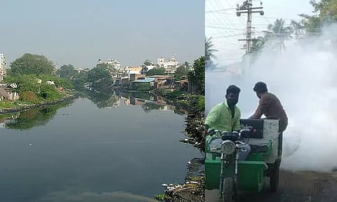 கூவம் ஆறு உள்ளிட்ட பகுதிகளில் படகுகள் மூலம் கொசு மருந்து தெளிக்கும் பணி - 29-ந் தேதி தொடக்கம்