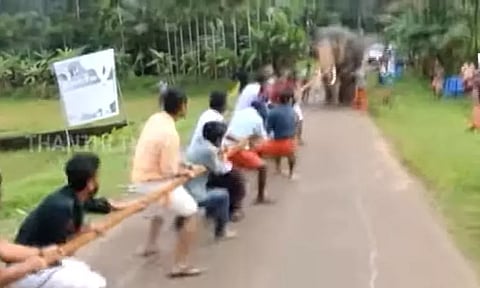 ஓணம் பண்டிகையை முன்னிட்டு நடத்தப்படும் கயிறு இழுக்கும் போட்டிகள் - கேரளா வனத்துறை அதிரடி உத்தரவு