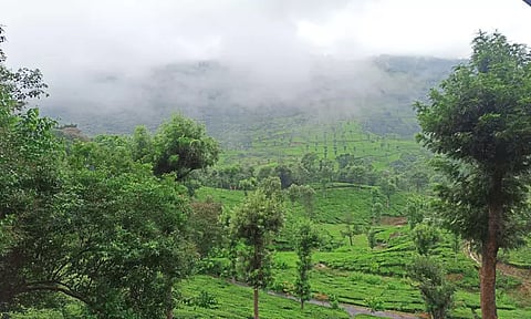 9,762 விவசாயிகள் உதவித்தொகை பெறுவதில் சிக்கல்