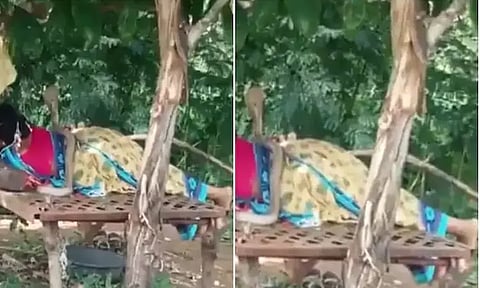 தூங்கி கொண்டிருந்த பெண்ணின் முதுகில் ஏறி படம் எடுத்து நின்ற பாம்பு... வைரலான வீடியோ