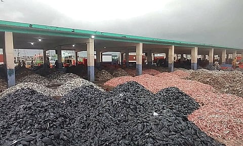 மலைபோல் குவித்து வைக்கப்பட்ட மீன்கள் விற்பனை