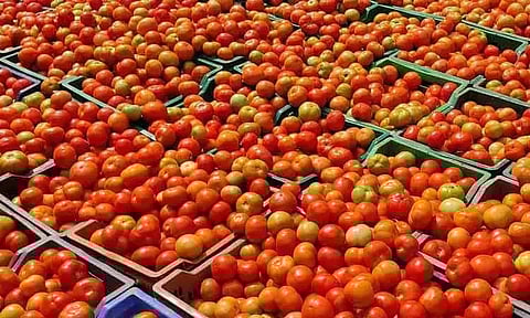 கோயம்பேடு சந்தையில் தக்காளி விலை திடீர் அதிகரிப்பு !