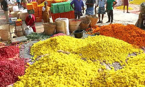 கோப்புப்படம் 