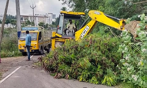 காங்கயத்தில் 84 மில்லிமீட்டர் மழை