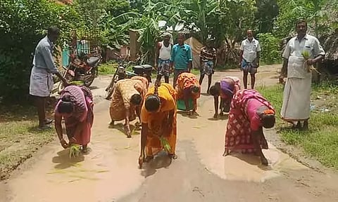 சாலையில் நாற்று நடும் போராட்டம்