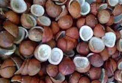 பரமத்திவேலூரில் ரூ.6 லட்சத்து 61 ஆயிரத்திற்கு தேங்காய் பருப்பு ஏலம்