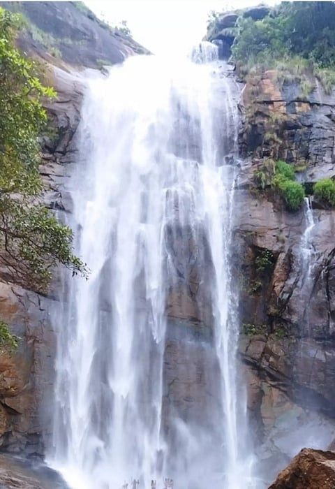 தொடர் மழை காரணமாக கொல்லிமலை ஆகாய கங்கை நீர்வீழ்ச்சியில் வெள்ளப்பெருக்கு சுற்றுலா பயணிகளுக்கு தடை நீடிப்பு