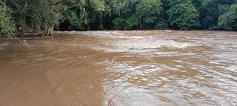 நீலகிரி மலைப்பகுதியில் மழை; பவானிசாகர் அணைக்கு நீர்வரத்து அதிகரிப்பு