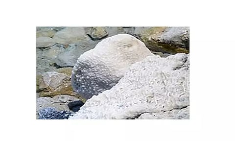 உயிர் பிழைத்து விடுவான் என்று கருதி இறந்த சிறுவனை 8 மணி நேரம் உப்பு குவியலில் வைத்த கொடூரம்