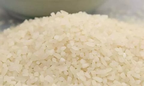 இந்தியாவில் இருந்து உடைத்த அரிசியை ஏற்றுமதி செய்ய இன்று முதல் தடை - மத்திய அரசு