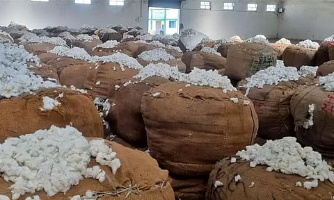 இந்தியாவில் இருந்து பருத்தி இறக்குமதி: பாகிஸ்தான் அரசிடம் வர்த்தக அமைப்பு கோரிக்கை!