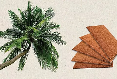 குறைந்த முதலீட்டில் அதிக வருமானம் தரும் தொழில்