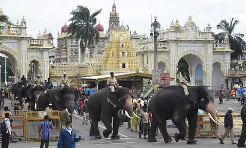 தசரா யானைகளின் எடை அதிகரிப்பு; அம்பாரியை சுமக்கும் அபிமன்யு 230 கிலோ அதிகரித்தது