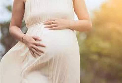 சாலை வசதி இல்லாததால் கர்ப்பிணியை டோலி கட்டி ஆஸ்பத்திரிக்கு தூக்கி வந்த அவலம்- நடுகாட்டில் குழந்தை பெற்றெடுத்தார்