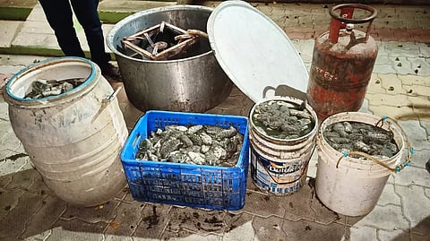 150 கிலோ கடல் அட்டை பறிமுதல்