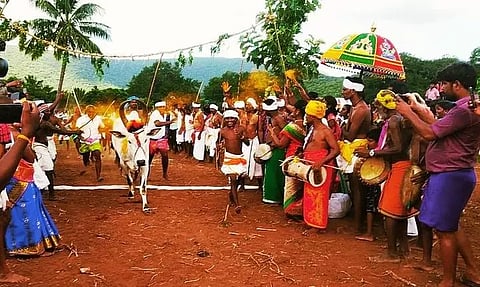 அய்யலூர் அருகே எருது விடும் விழா