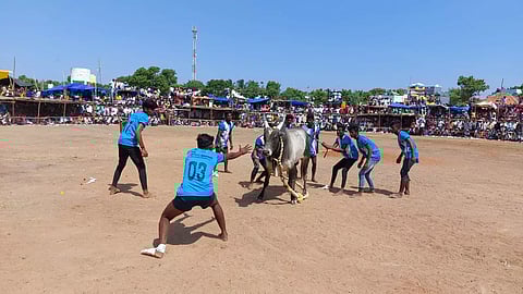 எருதுகட்டு விழா