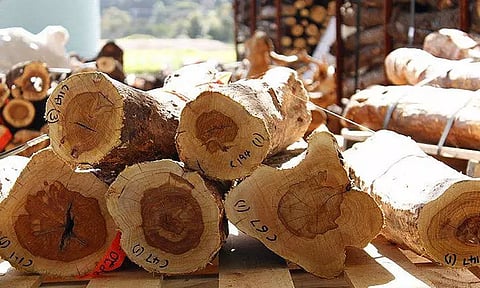 ரூ.5 லட்சம் சந்தன மரக்கட்டைகள் பறிமுதல்; 5 பேர் கைது