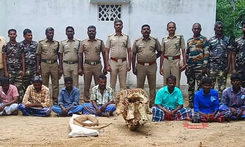 ஈரோடு: யானை தந்தங்களை கடத்தி விற்பனை செய்ய முயன்ற 7 பேர் கைது