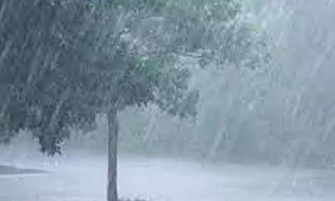 குமரியில் மழை: பாலமோர் பகுதியில் 60.4 மி.மீ. பதிவு