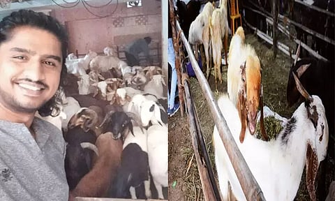 வீட்டின் மாடியிலும் ஆடு வளர்க்கலாம்..!