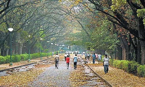 கப்பன் பூங்காவுக்குள் உணவு பொருட்கள் சாப்பிட தடை