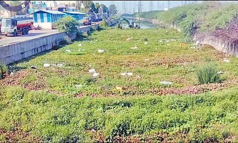 23 நீர்நிலைகளில் 4 ஆயிரத்து 775 டன் கழிவுகள் அகற்றம் -மாநகராட்சி தகவல்