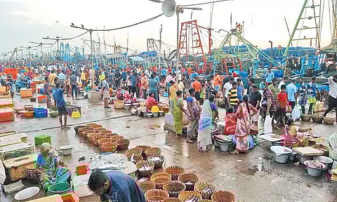 புரட்டாசி மாதம் தொடங்கியதால் காசிமேட்டில் மீன் விற்பனை மந்தம்