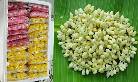 புவிசார் குறியீடு பெற்ற மதுரை மல்லி பூ மஸ்கட்டுக்கு ஏற்றுமதி