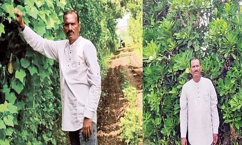 'கற்றாழை மனிதன்' உருவாக்கிய 'உயிர் வேலி'