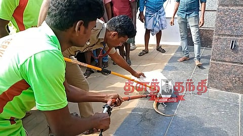 பள்ளிபாளையம் நகராட்சி அலுவலகம் அருகே கண்ணாடி விரியன் பாம்புகள் பிடிபட்டன