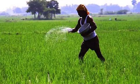 விவசாயிகளுக்கு பொட்டாஷ் உரம் தட்டுபாடின்றி கிடைக்க நடவடிக்கை - மத்திய மந்திரி மன்சுக் மாண்டவியா தகவல்