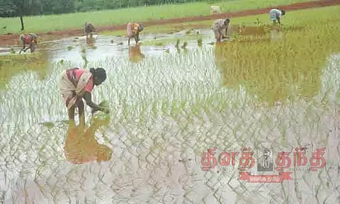 விவசாய பணிகள் தீவிரம்