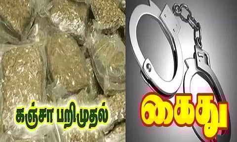 ஆந்திராவில் இருந்து சென்னைக்கு பஸ்சில் கஞ்சா கடத்தல்; வடமாநில வாலிபர் கைது