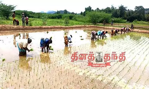 நடவு பணி மும்முரம்