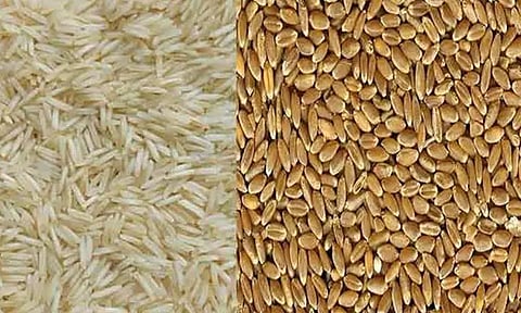 கோதுமை, அரிசி உள்ளிட்ட அத்தியாவசியப் பொருட்களின் விலை நிலவரம் கண்காணிக்கப்படுகிறது - மத்திய அரசு