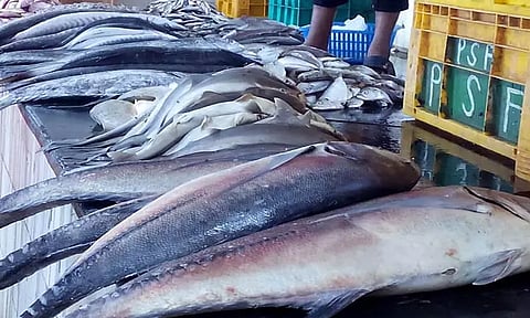 சுகாதாரமான அங்காடியாக மாறுமா ஆரம்பாக்கம் மீன் மார்க்கெட்; ஊராட்சி நிர்வாகம் நடவடிக்கை எடுக்குமா?