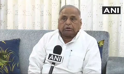  கோப்புக்காட்சி