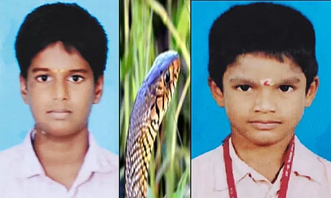ஆரணியில் பாம்பு கடித்து பள்ளி மாணவர் சாவு; தம்பிக்கு தீவிர சிகிச்சை