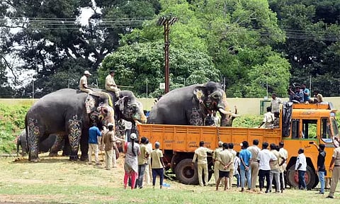 மைசூரு அரண்மனை வளாகத்தில் தசரா யானைகளுக்கு வழியனுப்பு விழா; பிரியா விடைபெற்று சென்றன