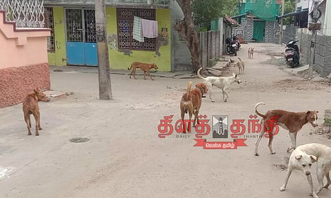 கருத்தடை திட்டம் மீண்டும் செயல்படுத்தப்படுமா?