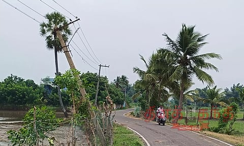 சாய்ந்த நிலையில் காணப்படும் மின் கம்பங்கள்