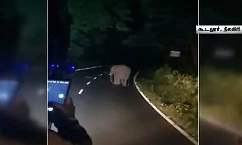 கூடலூர் அருகே தேசிய நெடுஞ்சாலையை மறித்து நின்ற காட்டு யானையால் பரபரப்பு