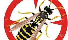 விஷவண்டுகள் அழிப்பு