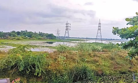 நீண்ட காலமாக தூர்வார படாத திருநின்றவூர் பெரிய ஏரி - குடியிருப்பில் தண்ணீர் புகுவதால் பொதுமக்கள் அவதி