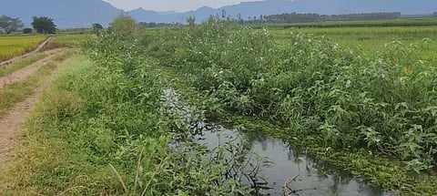 கூடலூர் அருகே புதர்மண்டிய வாய்க்கால்களை சீரமைக்க வேண்டும்: விவசாயிகள் வலியுறுத்தல்